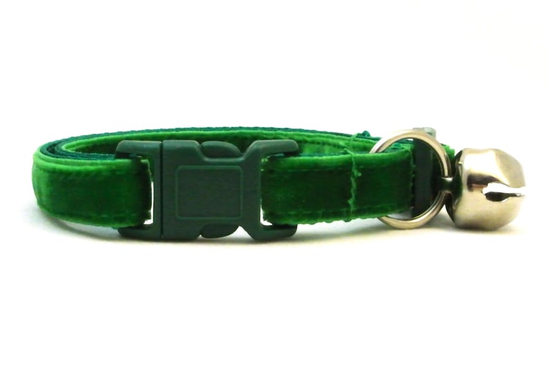May include: A green velvet cat collar with a plastic buckle and a silver bell.