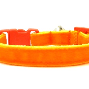 May include: Orange and red dog collar with a buckle fastening.