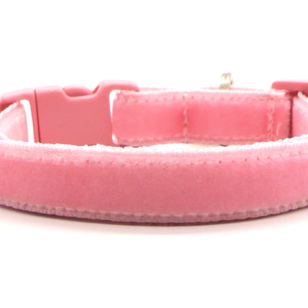 The Posh Velvet Breakaway Cat Collar