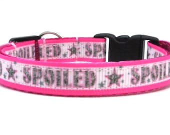 The Spoiled Rotten Breakaway Cat Collar