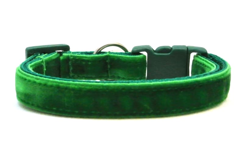 May include: A green velvet dog collar with a plastic buckle.