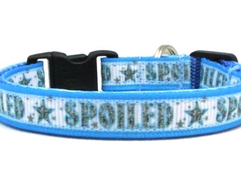 The Spoiled Rotten Breakaway Cat Collar