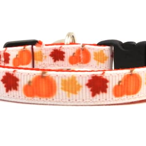 The Pumpkin Pie Breakaway Cat Collar