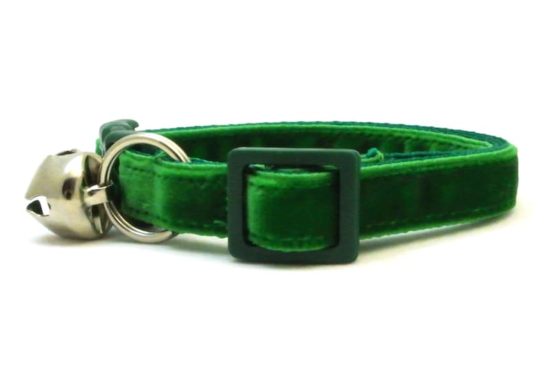 May include: A green velvet cat collar with a silver bell and a plastic buckle.