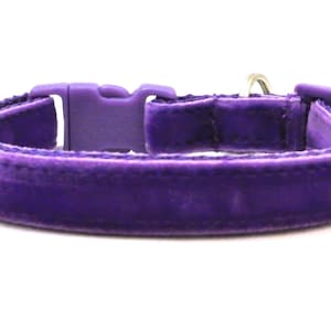 The Posh Velvet Breakaway Cat Collar