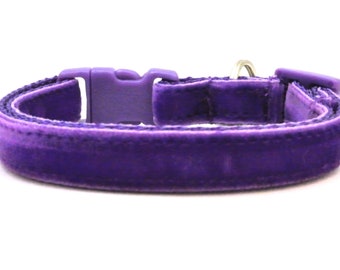 The Posh Velvet Breakaway Cat Collar