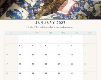 2027 Funny Cat Calendar PDF | Real Cat Photos & Pet-Owner Humor