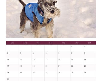 Printed 2027 Funny Dog Calendar, Real Dog Photos, Monthly Sayings, 8.5 x 11 Wall Calendar