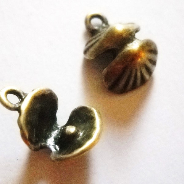 Seashell Charms Etsy