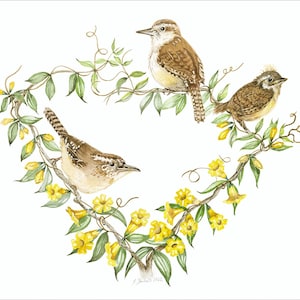 South Carolina State, Bird, and Flower Watercolor Painting Print