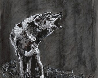 Original Pen and Ink Drawing Howling Wolf, 8.5 Inch Square Unframed Artwork