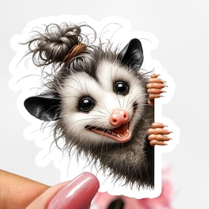 Cute Possum Sticker, Possum Decal