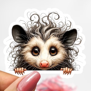 Cute Possum Sticker, Possum Decal
