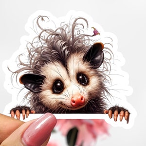 Cute Possum Sticker, Possum Decal
