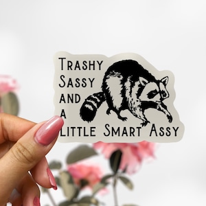 Trash Sassy Panda Raccoon Sticker, Raccoon Decal