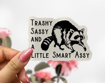 Trash Sassy Panda Raccoon Sticker, Raccoon Decal