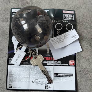 May include: A translucent dark grey spherical capsule containing a metal key keychain with a silver finish. The key features a distinct head design and is attached to a split ring. The item rests on a black and white informational product insert.