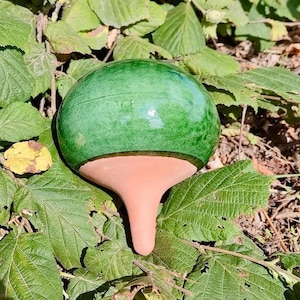 Peut inclure: Un arroseur en forme de bulbe rond avec une partie supérieure émaillée vert vif et brillante, ainsi qu'une base en terre cuite lisse et non émaillée dotée d'une pointe effilée conçue pour être insérée dans le sol afin d'hydrater les plantes.