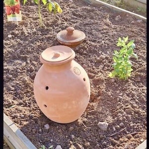 Puede incluir: Una olla de riego de terracota con tapa, que presenta un cuerpo redondeado y pequeños orificios laterales, parcialmente enterrada en tierra oscura. Una tapa a juego descansa cerca en el bancal, junto a una pequeña planta verde y un cartel.