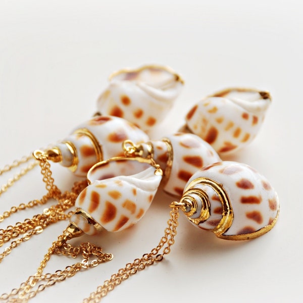 Seashell snail Necklace in white & light brown dipped in gold