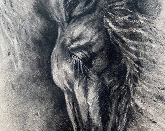 Acrylic painting/Horse