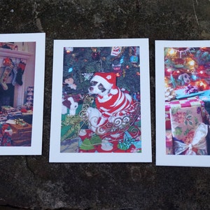 Blanko Weihnachtskarte 5er Set Weihnachtsfotografie, Weihnachtsmann Hut Hund, Weihnachtsbaum, Strümpfe, Original Fotos, Blanko Geschenkkarten Set