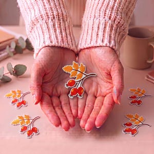 May include: A collection of stickers featuring a botanical illustration of a branch with orange autumn leaves and three red berries. The stickers are die-cut in the shape of the branch and berries, displaying a vibrant colour palette of orange and red.