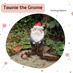 May include: Knitting pattern for a gnome named Tawnie. The gnome is wearing a red hat, blue shirt, brown pants, and brown boots. The gnome is standing on a stone path with green plants and brown leaves around it.