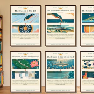 May include: Six educational posters titled Nature Invented It First, displayed in two rows of three. Each poster features illustrations comparing animals to human inventions, including a falcon, kingfisher, gecko, lotus, shark, and burdock.