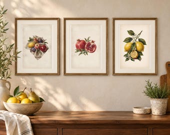 Conjunto de gravuras botânicas vintage de frutas para decoração de parede da cozinha (download digital)