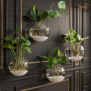 Puede incluir: Cuatro maceteros de pared esféricos de vidrio transparente que contienen agua, guijarros blancos y plantas de hojas verdes. Cada globo tiene una abertura para la planta y está fijado a una pared oscura con paneles. El texto NestSparkleGift es visible.
