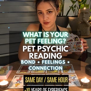Può includere: Un set di carte dei tarocchi disposte su un tavolo di legno con due lumini accesi. Il testo recita: WHAT IS YOUR PET FEELING? PET PSYCHIC READING BOND • FEELINGS • CONNECTION SAME DAY / SAME HOUR +10 YEARS OF EXPERIENCE.