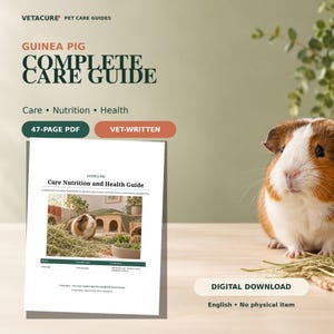 Pode incluir: Um guia digital em PDF de 47 páginas intitulado Guinea Pig Complete Care Guide da Vetacure. A capa apresenta um porquinho-da-índia castanho e branco, texto sobre cuidados, nutrição e saúde, e uma nota de que é um download digital.