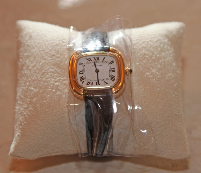 old casio g shock