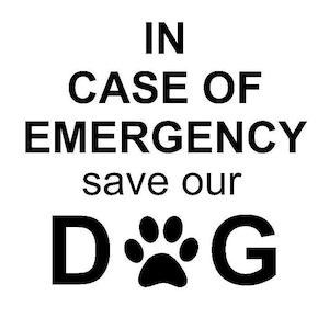 In Case Of Emergency Save My Pet - Window Decal - Emergency Decal - Pet Alert Decal - Fire Safety - Vinyl Decal - DIY - Dog Cat