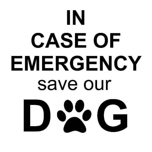 In Case Of Emergency Save My Pet - Window Decal - Emergency Decal - Pet Alert Decal - Fire Safety - Vinyl Decal - DIY - Dog Cat