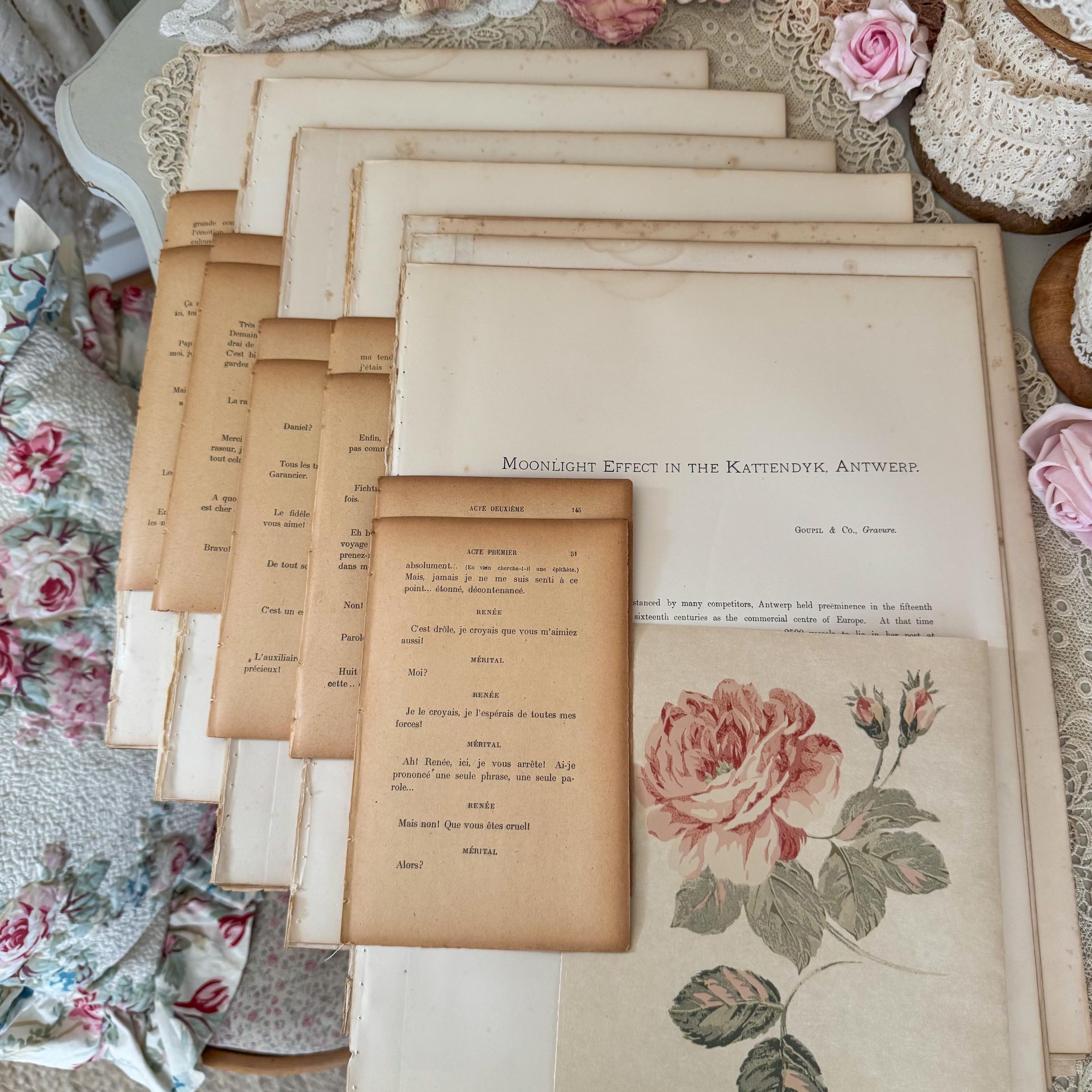 Shabby Pink Old French Book Set.