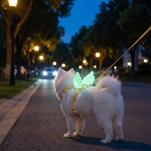 Può includere: Un cane bianco indossa una pettorina riflettente con ali d'angelo luminose fissate sul dorso. La pettorina è dotata di cinghie regolabili e di un anello in metallo per agganciare il guinzaglio. Le ali emettono una luce soffusa e brillante.