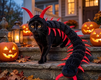 May include: A black cat wearing a long, segmented centipede costume. The costume features a hood with two red antennae and a plush, multi-segmented black body extending down the back, lined with sharp, pointed red legs along both sides.