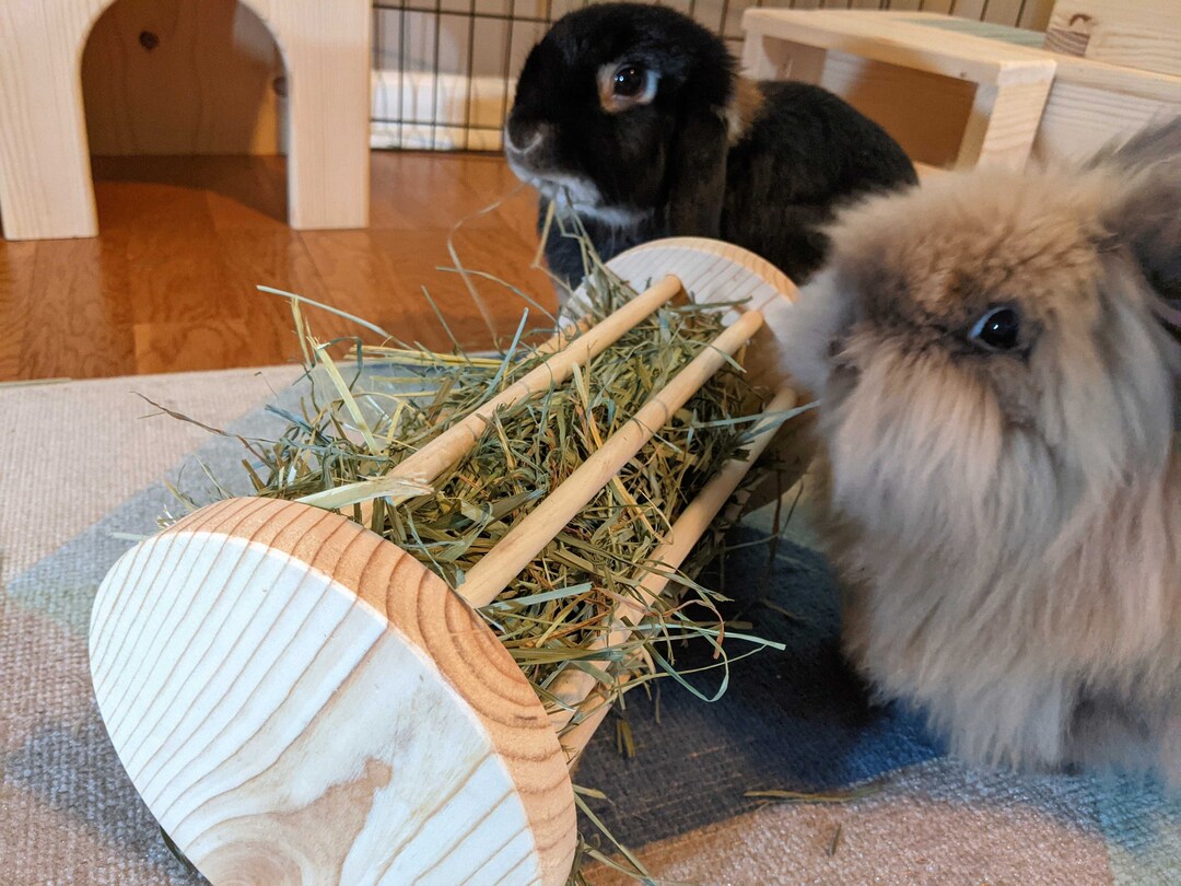 Large Hay Roller for Rabbits/guinea Pigs - Etsy