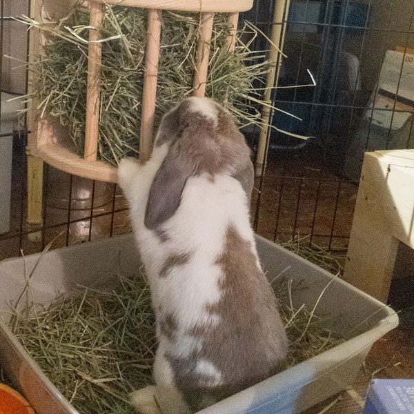 Large Rabbit Hay Manger