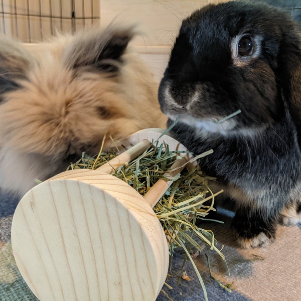 Medium Hay Roller for Rabbits and Guinea Pigs