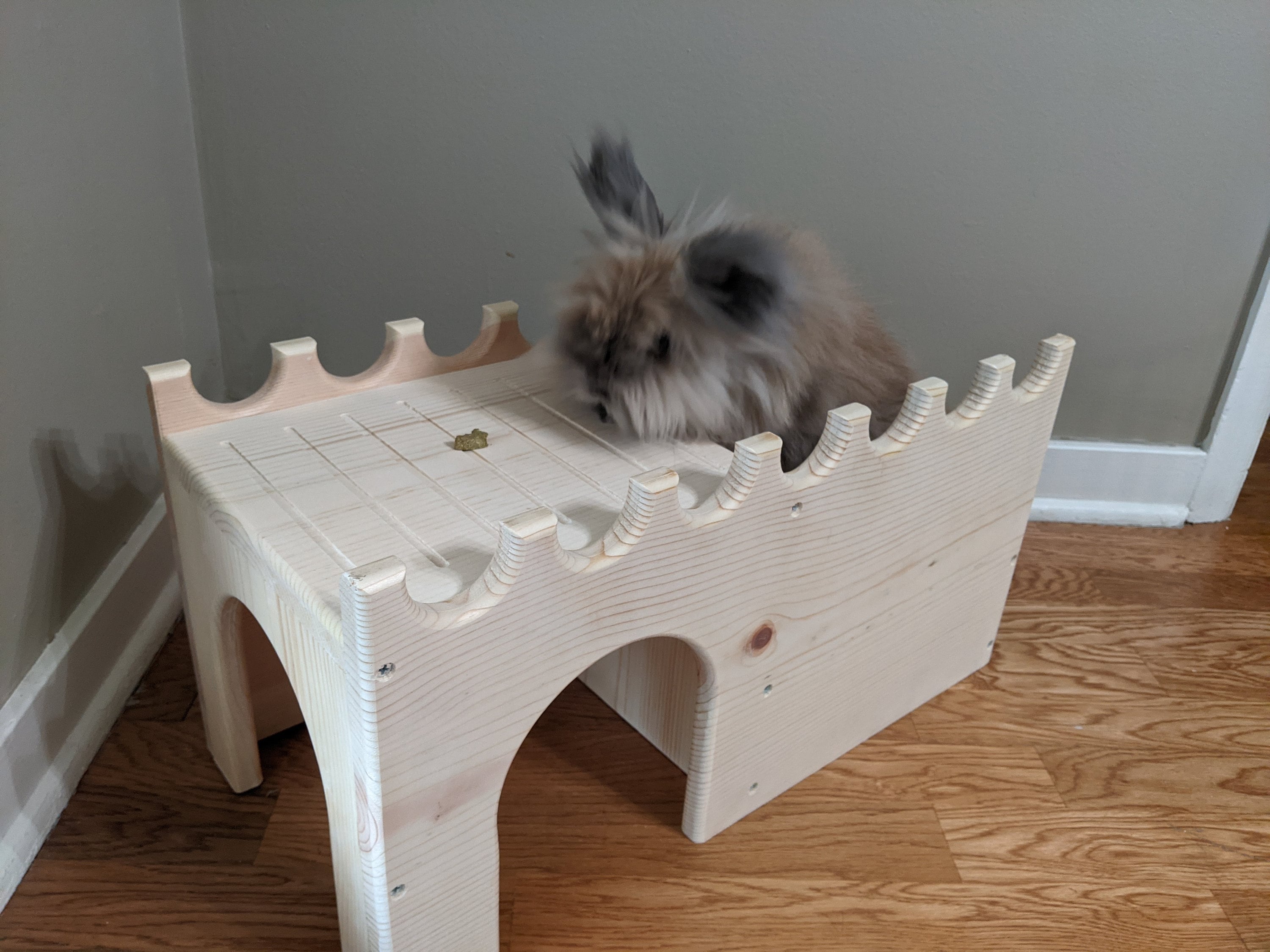 Castle Wall Step Up