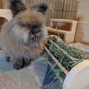 Large Hay Roller for Rabbits/guinea Pigs - Etsy