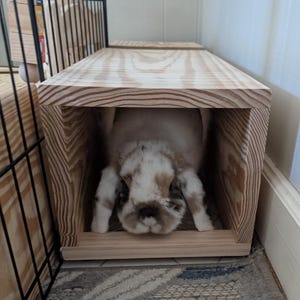 Tunnels for Rabbits