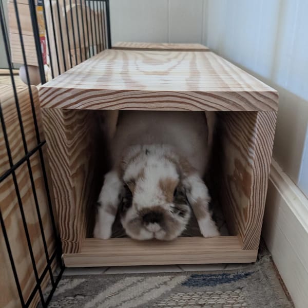 Tunnels for Rabbits