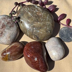 Hand-Polished San Simeon Jasper Collection | 5 Colorful California Coastal Stones