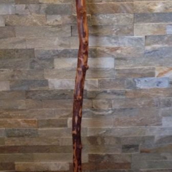 NEW Artisan handcrafted 56 inch walking stick. Semi gloss finish with a leather strap.