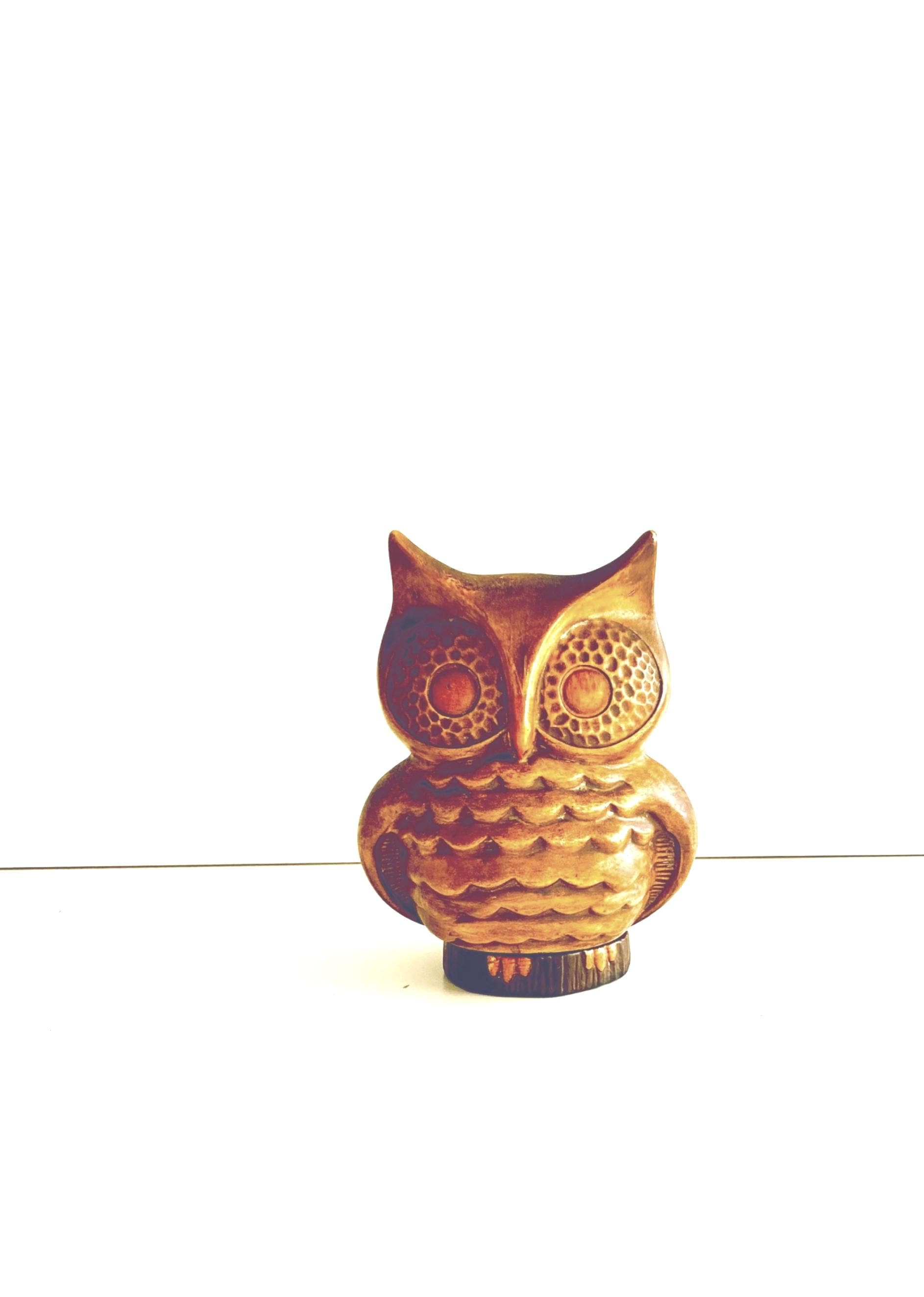 Vintage Owl Penny Bank: 1970s Kitsch Ceramic Figurine. Retro Home