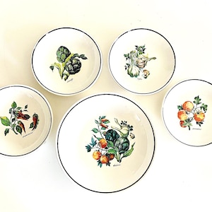 Vintage Italian Ceramic Pasta Bowl Set: La Primula Country Cottage Decor
